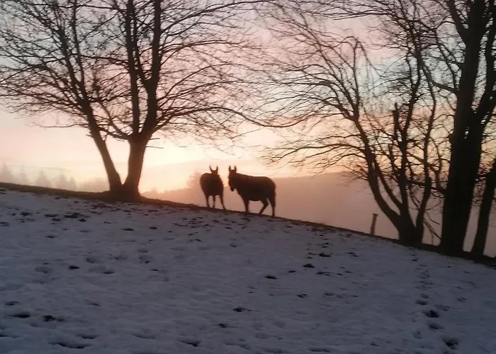 Quiddelbacher Muehle